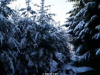 DSC09472