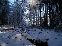 DSC09475