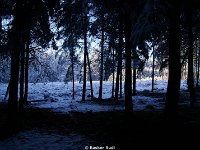DSC09479