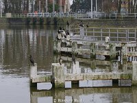 DSC08760