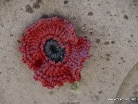 DSC09526