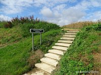 DSC03179
