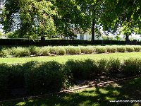 DSC01250