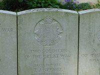 155-DSC01311