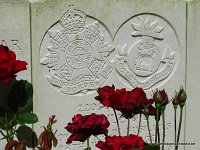 161-DSC01317