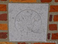 DSC09435