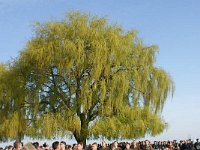 DSC09190