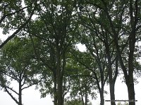 DSC04645