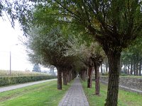 DSC04768