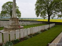 DSC09901
