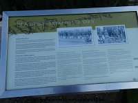 DSC03901