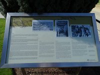 DSC03902