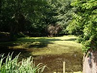 DSC07093