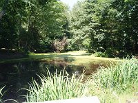 DSC07099