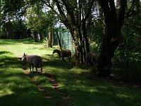DSC07108