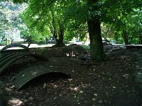 DSC07110
