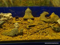 DSC06856