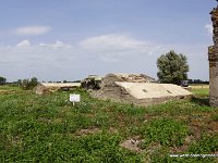 DSC06881