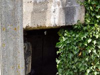 DSC06884