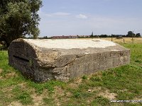 DSC06896