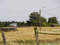 DSC06898