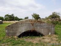 DSC06900