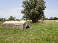 DSC06901