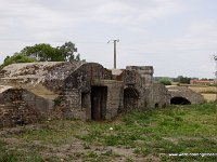 DSC06905