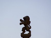 DSC03320