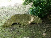 DSC05315