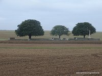 DSC04482