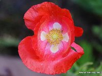 DSC00451