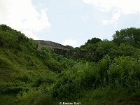 DSC03312