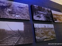 DSC06195