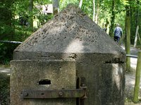 DSC03334
