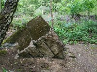 DSC03350