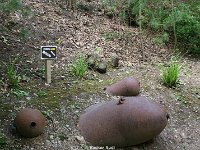 DSC03352