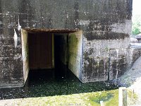 DSC03373
