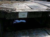 DSC03392