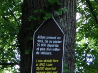 DSC03475