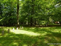 DSC01459