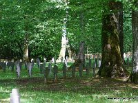 DSC01460