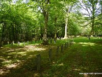 DSC01466