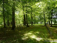 DSC01468