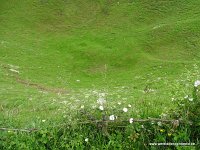 DSC00617