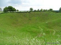 DSC00619
