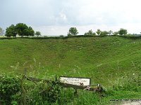 DSC00633