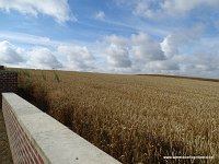 DSC02274