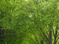 DSC00534