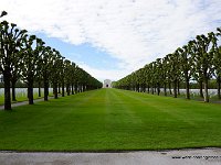 DSC00535